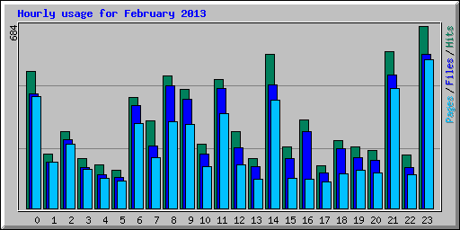 Hourly usage for February 2013